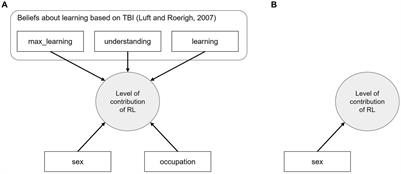 The impact of observers’ beliefs on the perceived contribution of a Research Lesson